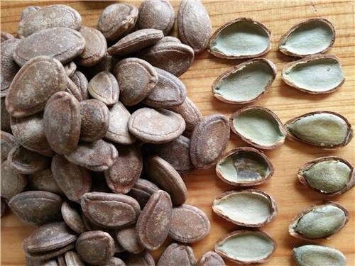 我想買瓜蔞-江蘇昊林農(nóng)業(yè)