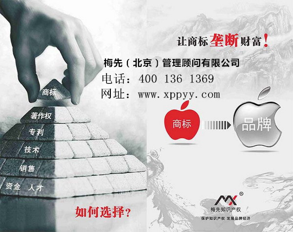 南陽(yáng)商標(biāo)查詢(xún)/南陽(yáng)梅先管理顧問(wèn)