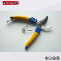 廠家直銷果枝剪園林剪刀花藝剪刀進(jìn)口POM剪園藝五金工具樹枝剪
