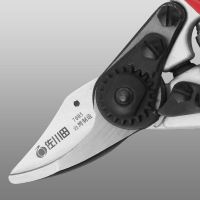 臺(tái)灣佐川田7005 果枝剪修枝 果樹剪 剪枝剪園藝剪刀 亞馬遜爆款