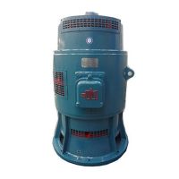 YSL12-10-80KW 軸流泵專(zhuān)用立式三相異步電動(dòng)機(jī)廠家直銷(xiāo)