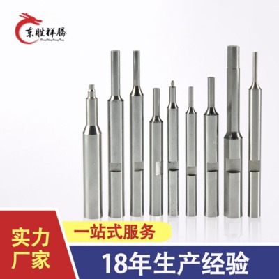 工廠沖孔沖針 高精密方形加硬六角T型沖孔沖針