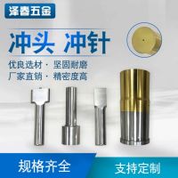 【沖頭沖針】批發(fā)緊密模具標(biāo)準(zhǔn)件沖頭沖針定制軸向型沖頭沖針供應(yīng)