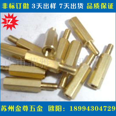 廠家現(xiàn)貨直銷非標(biāo)訂做銅鐵鍍鋅鋁不銹鋼內(nèi)外牙螺釘螺柱