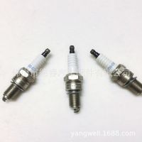 原廠博世火花塞 F6RTC 汽車摩托車小型發(fā)動機(jī)通用 批發(fā)接受小批量