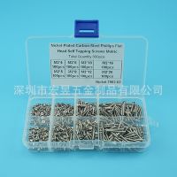 800pcs M2 碳鋼鍍鎳銀色沉頭自攻螺絲釘組合套裝盒裝