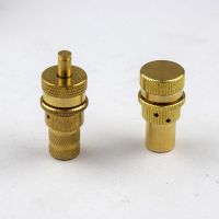 沙漠輪胎氣門嘴泄壓閥 越野車輪胎放氣螺絲 減壓閥tire deflators