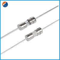 電流保險絲3.6*10快斷F1A/250V|UL認證E468765 310玻璃保險絲