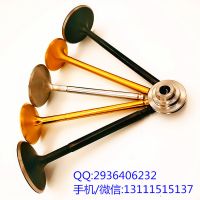 廠家現(xiàn)貨供應(yīng)生產(chǎn)各種進(jìn)排氣門適用康明斯QSK195 51*11*203