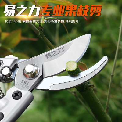 批發(fā)果枝剪 修枝剪 園林剪刀 多功能樹枝剪子 家用省力剪