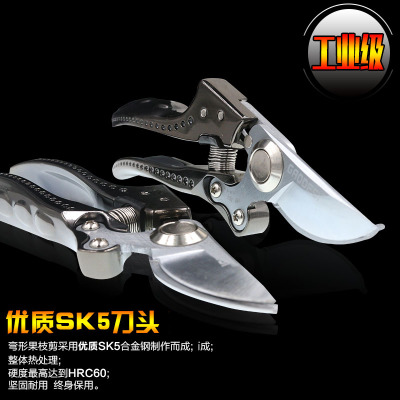 采果剪 摘果 稀果剪 疏花葡萄采摘剪刀 園藝修枝剪 優(yōu)質(zhì)園林工具