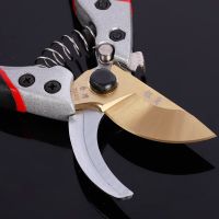 廠家貨源果枝剪果樹剪枝省力修枝剪園林工具省力果枝剪園藝修枝剪