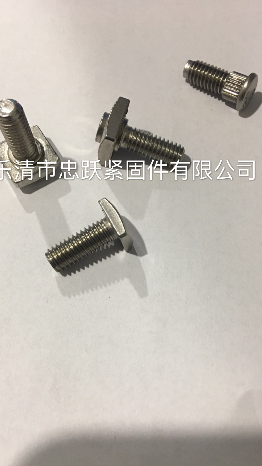 汽配螺栓 不銹鋼元寶螺栓 T型不銹鋼螺栓。汽車不銹鋼螺栓