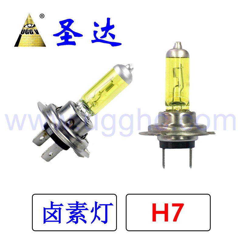 鹵素燈 黃光 H7.jpg