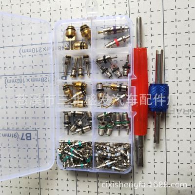 134A氣門芯組合 102件套 100+2 空調(diào)氣門芯