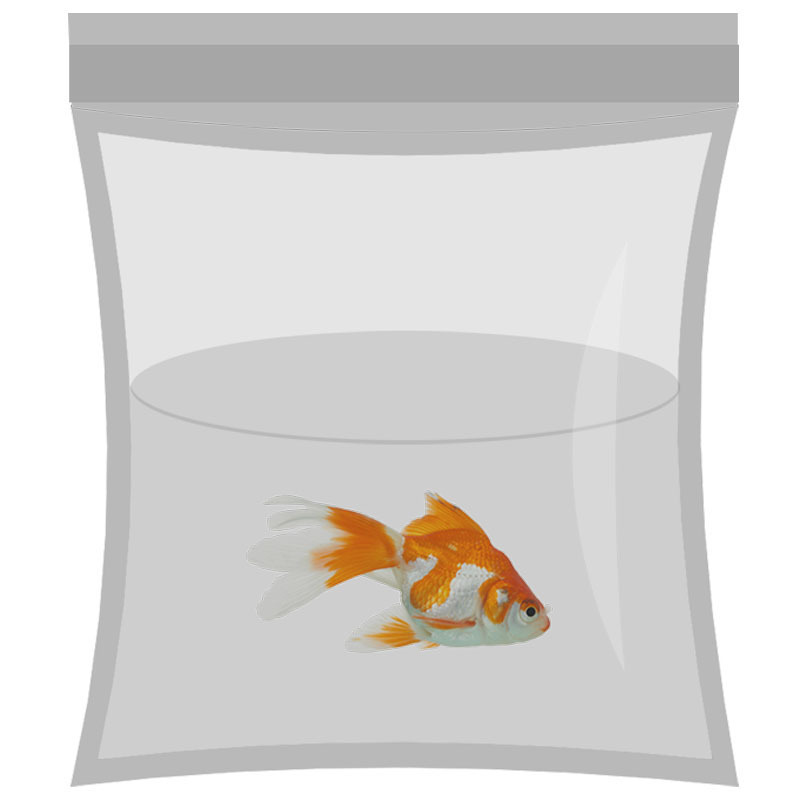 水族觀(guān)賞魚(yú)活體包裝袋