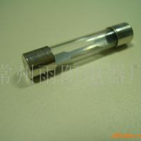 供應(yīng)玻璃保險(xiǎn)絲管．