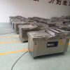 定制菊芋食品真空封口機(jī) 500全自動(dòng)雙室包裝機(jī) 糖醋蒜真空包裝機(jī)