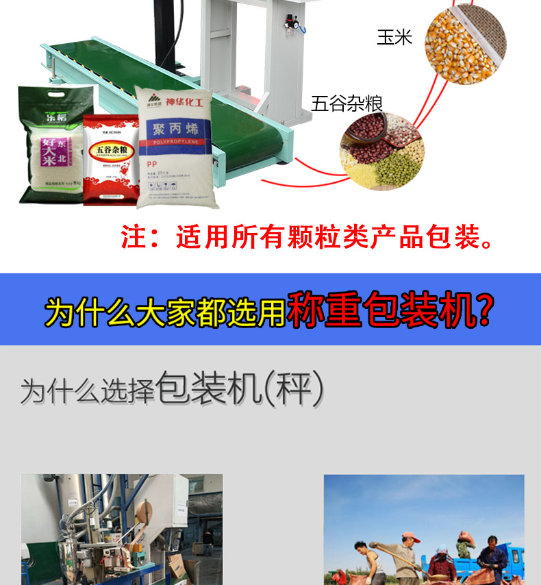 大米包裝機(jī)_4.jpg