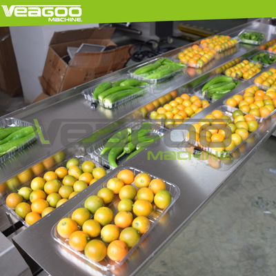 帶托菌菇木耳枕式裝袋機 盒裝蔬菜入袋機 自動貼標(biāo)水果伺服包裝機