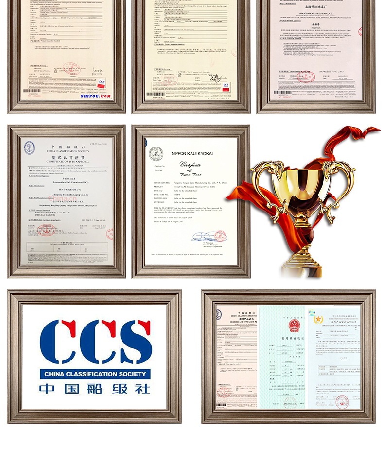 船用柴油機(jī) 套版_014