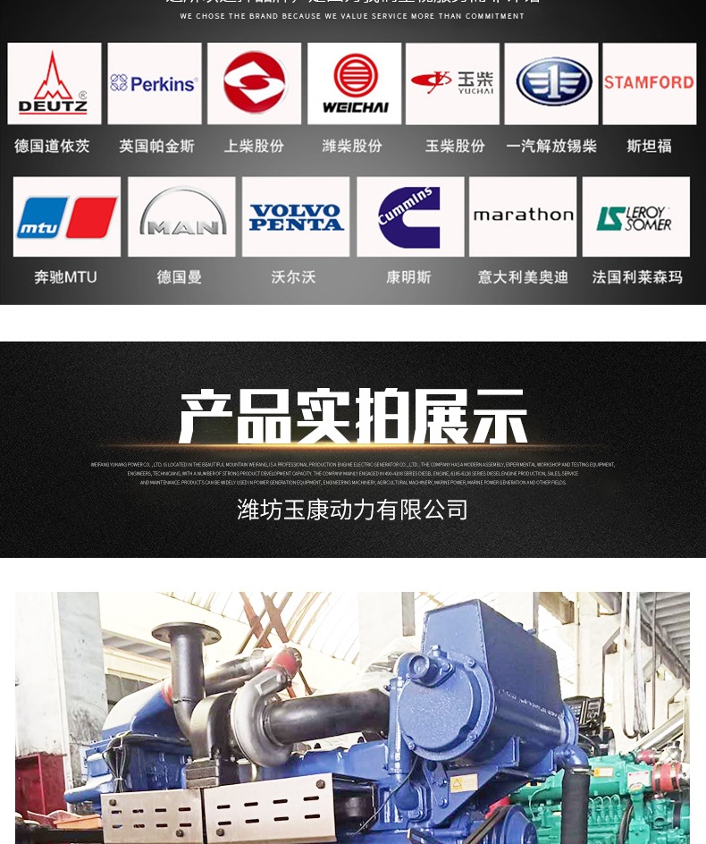 船用柴油機(jī) 套版_006