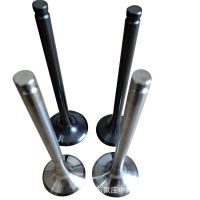 濰柴歐二氣門濰坊柴油機(jī)配件