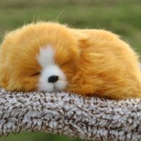 車載小狗汽車用品車內(nèi)飾品擺件家居小狗狗裝飾擺件世界名犬