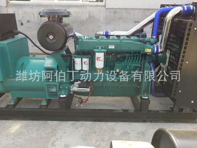 濰坊300kw柴油發(fā)電機(jī)組 300kw千瓦純銅柴油發(fā)電機(jī) 濰坊發(fā)電機(jī)