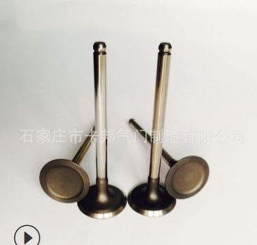 加工訂做各種發(fā)動機(jī)異形 進(jìn)氣門排氣門閥門