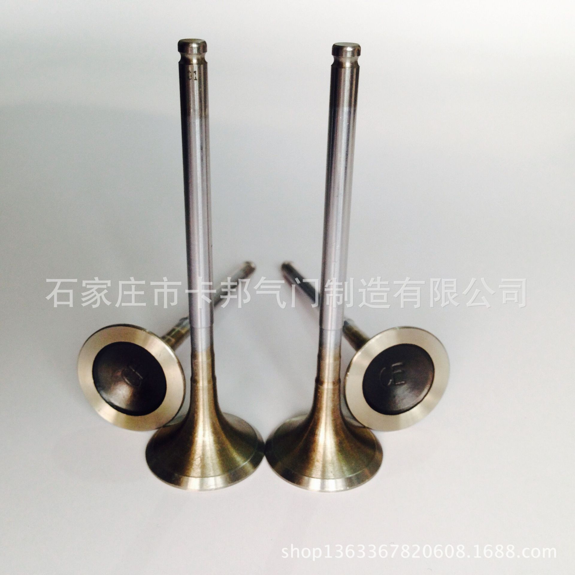 東風(fēng)雪鐵龍、東風(fēng)標(biāo)致 排氣門(mén)