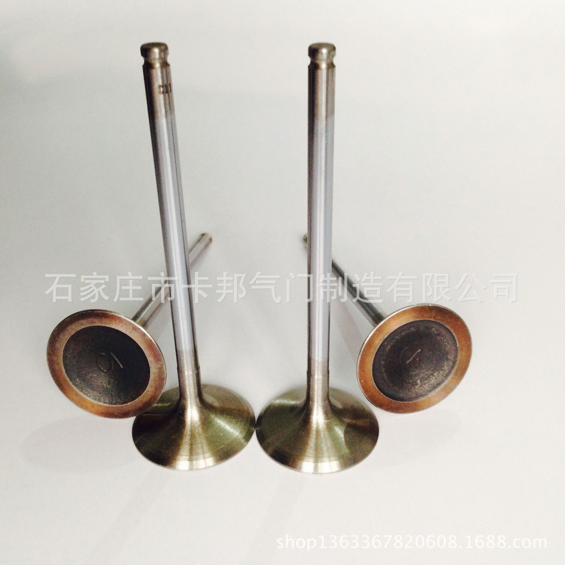 東風(fēng)雪鐵龍、東風(fēng)標(biāo)致 進(jìn)氣門(mén)