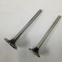 氣門，標(biāo)致氣門，進(jìn)排氣門，各種外貿(mào)氣門