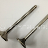 氣門，拉達(dá)氣門2101 2108 2112，汽車氣門，各種外貿(mào)氣門