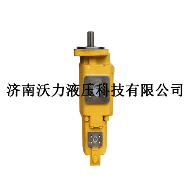 轉(zhuǎn)向泵裝載機(jī)齒輪油泵WHP2100/0010/XF漸徐工50轉(zhuǎn)向泵齒輪泵配件