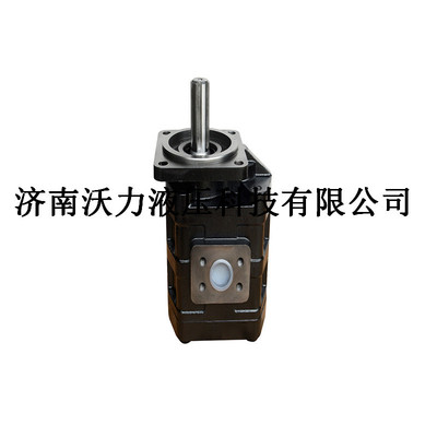 高壓齒輪泵CBGJ2100液壓泵齒輪泵龍工50裝載機(jī)配件