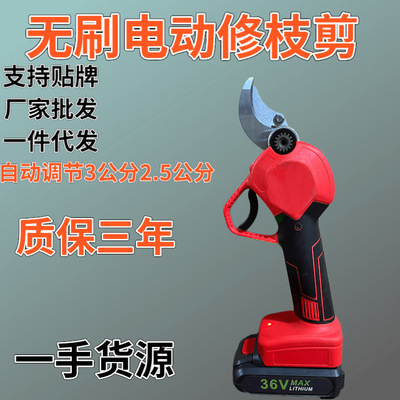 電動修枝剪刀果樹剪樹枝剪刀鋰電充電式剪子園林修枝粗枝剪電剪子