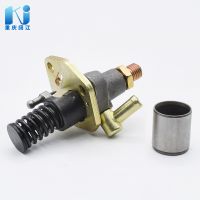 批發(fā)風(fēng)冷單缸發(fā)動(dòng)機(jī)噴油泵總成 大泵173 78 86 88 90 92 噴油泵