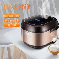 金納斯 多功能電飯煲 高端電飯煲5L 家用電飯煲預(yù)約定時一件代發(fā)
