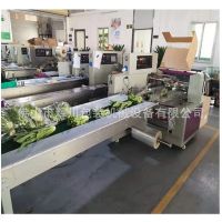 佛山輝川廠家直供枕式包裝機(jī) 果蔬包裝機(jī)下走紙伺服自感應(yīng)