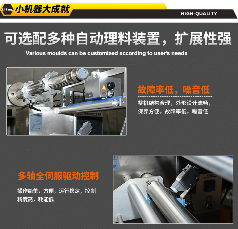 10、LB450全伺服自動包裝機_04