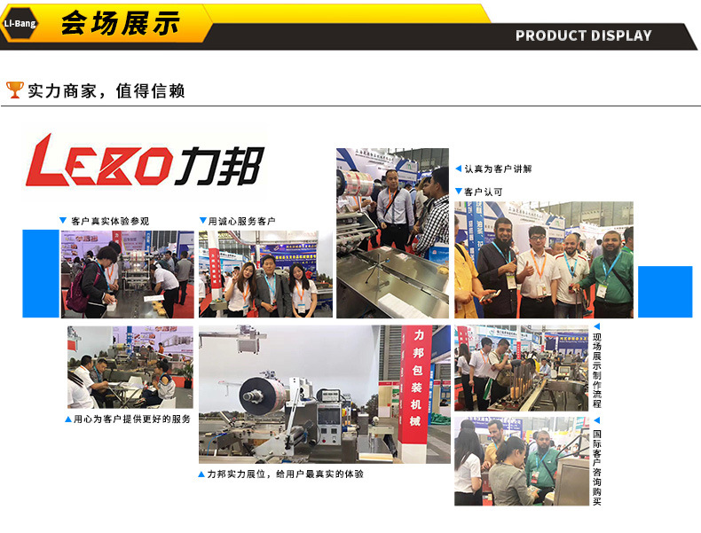 10、LB450全伺服自動包裝機_03