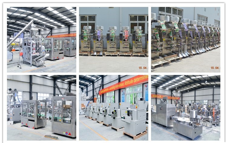 觸摸屏手工放料食品包裝機(jī) 無(wú)花果包裝機(jī) 蔓莓干香焦片包裝機(jī)