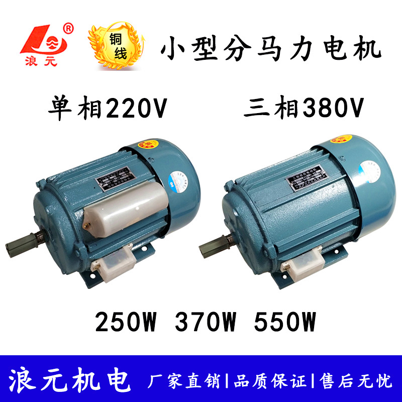 廠家分馬力感應(yīng)電動(dòng)機(jī)250w/370w/550w小型電機(jī)單相220v三相380v銅