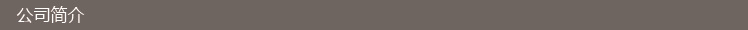 公司簡介
