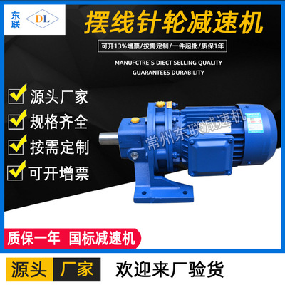 常州立式小型臥式擺針式減速器配國標(biāo)銅芯電機(jī)行星擺線針輪減速機(jī)