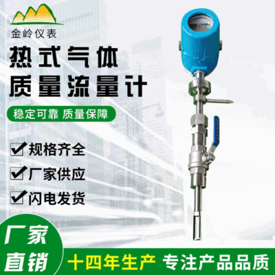 廠家現(xiàn)貨熱式氣體質(zhì)量流量計氮氣空氣煙氣氫氣流量計