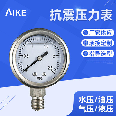 壓力表不銹鋼 YBN-100抗震壓力儀表 2.5Mpa壓力表 充油壓力表
