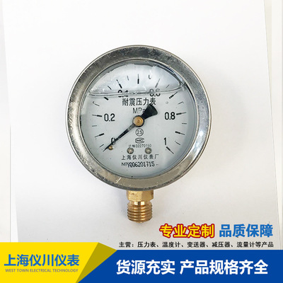 上海儀川儀表廠 耐震壓力表 防震壓力表YN-60 廠家直銷