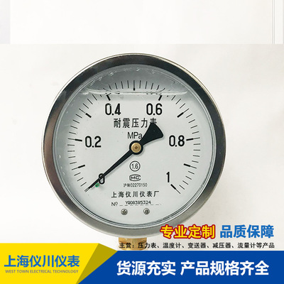 上海儀川儀表廠/耐震壓力表/YN-100抗震壓力表 全規(guī)格 廠家直銷